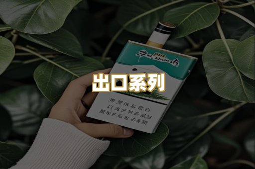 出口系列